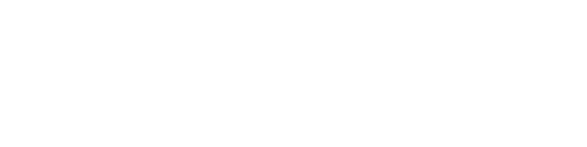 Fockema Tours South Africa